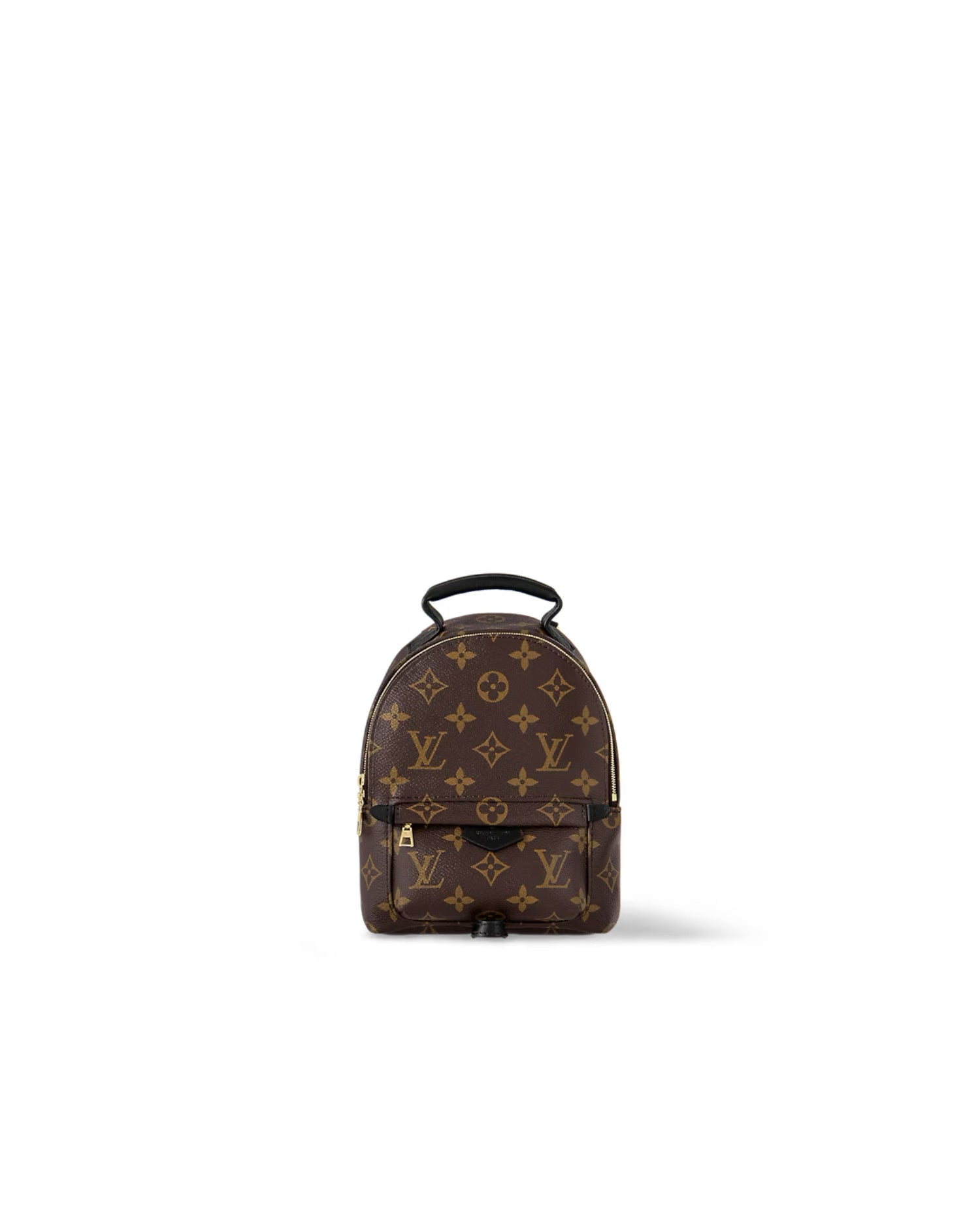 Louis Vuitton Palm Springs Mini