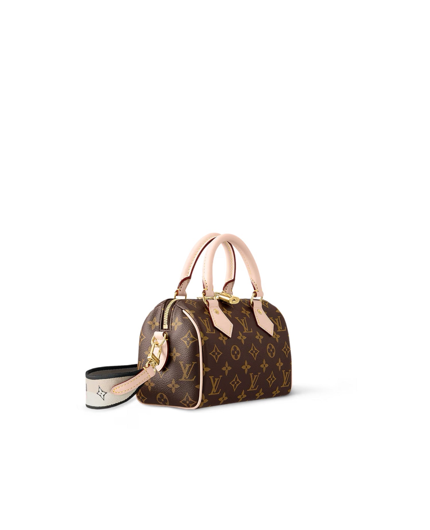 Louis Vuitton Speedy 20