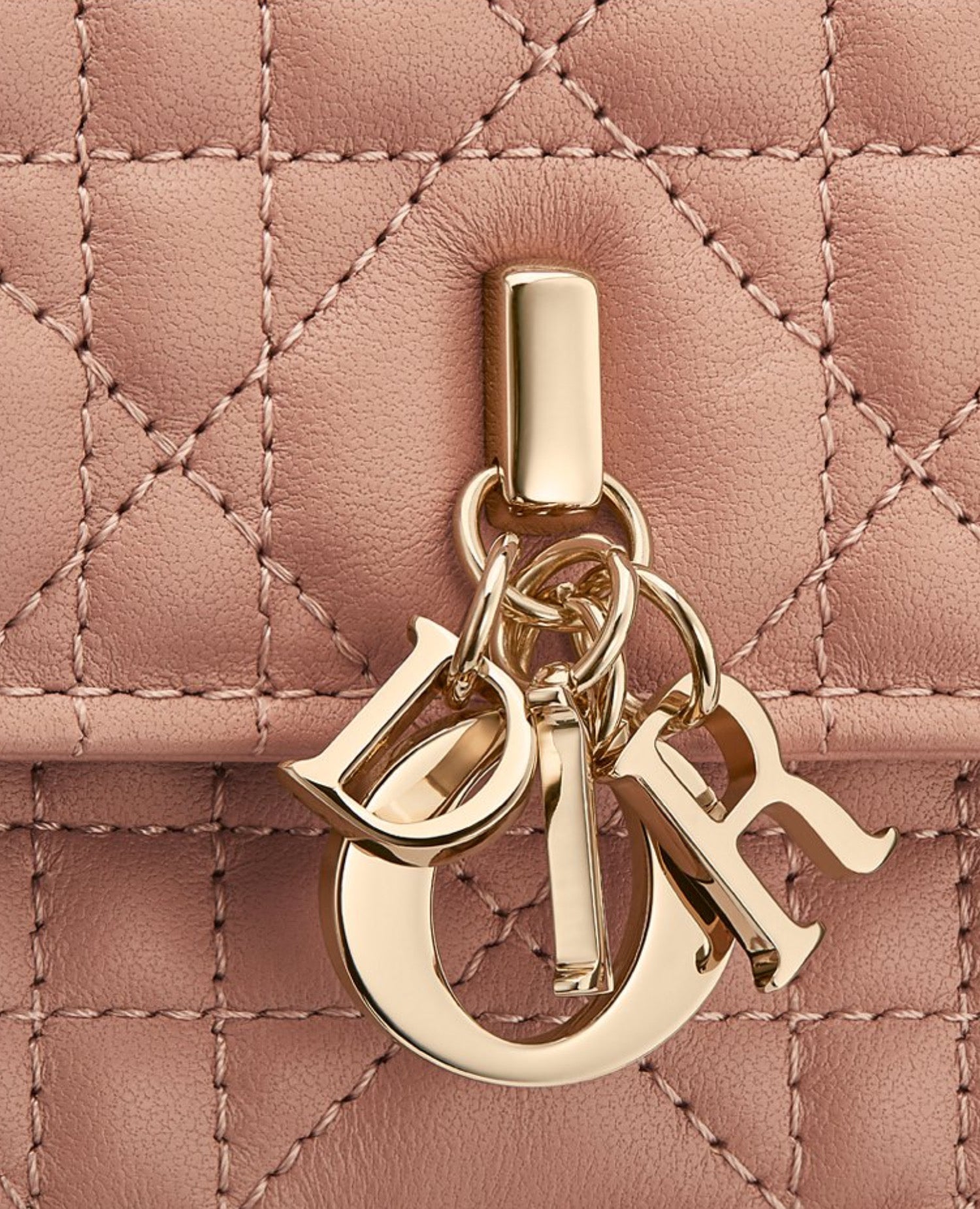 Christian Dior Mini Miss Bag Rose des Vents