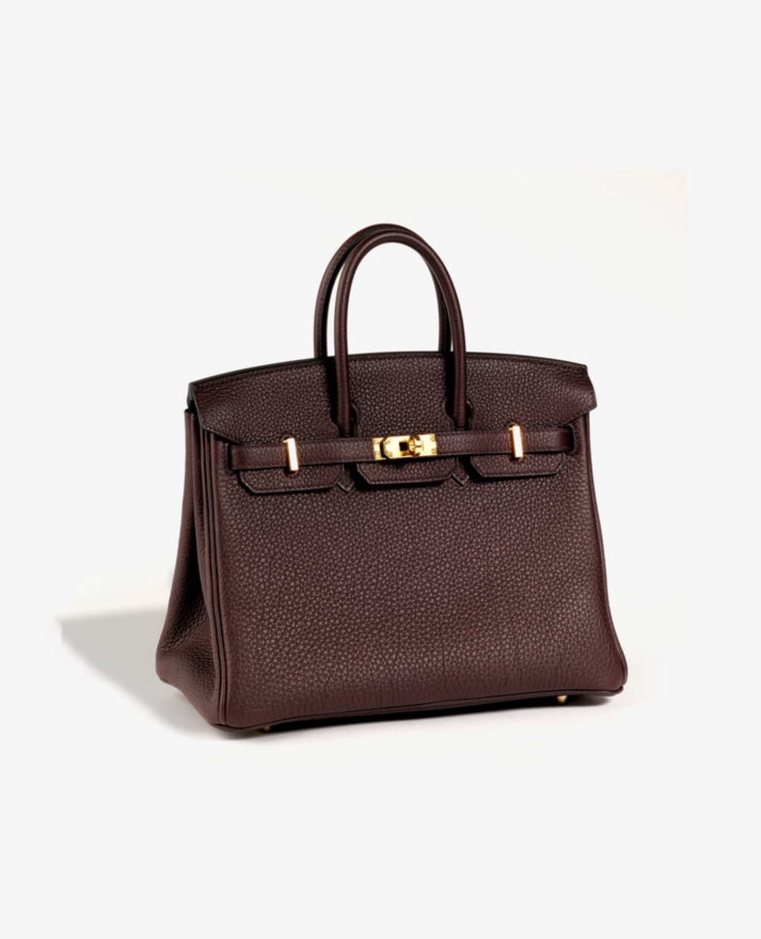 Hermès Birkin 25 Togo Rough Sellier
