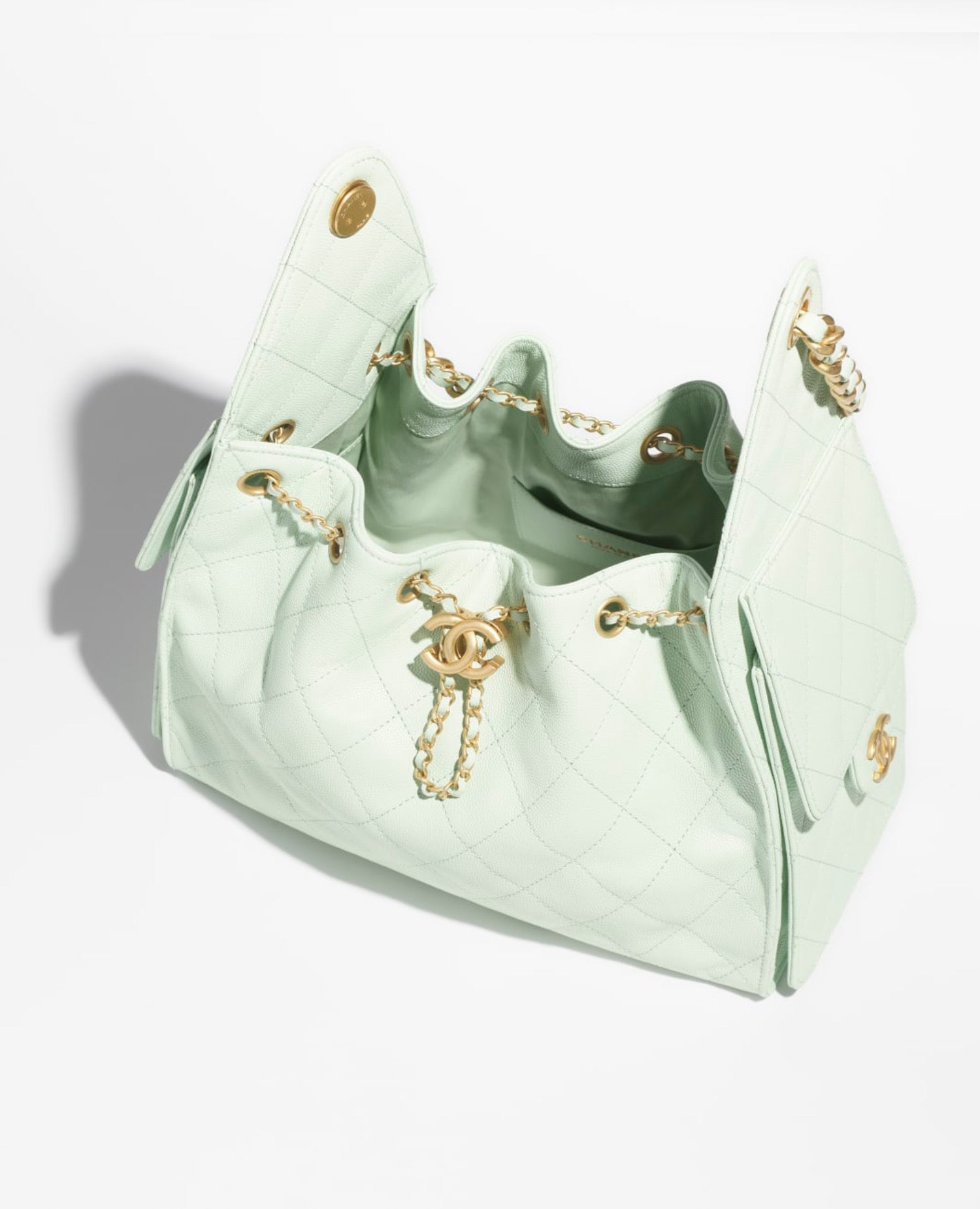 Coco 25 Small Handbag Light Green
