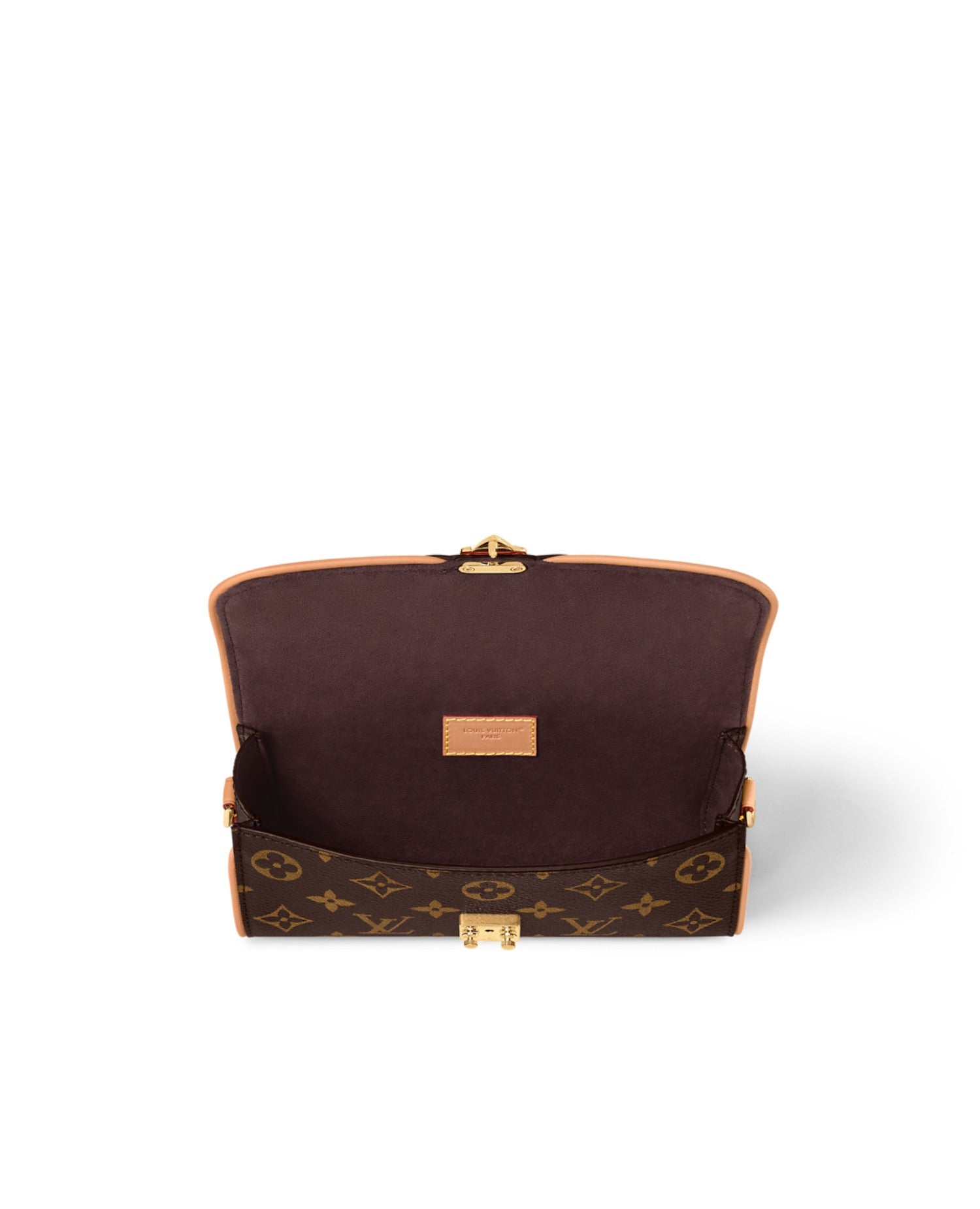 Louis Vuitton Pochette Camille