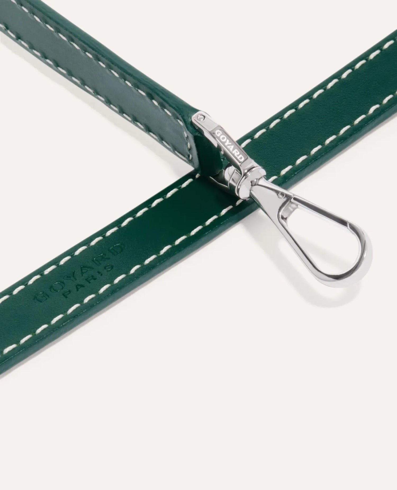 Goyard Monte-Carlo Mini Case Green