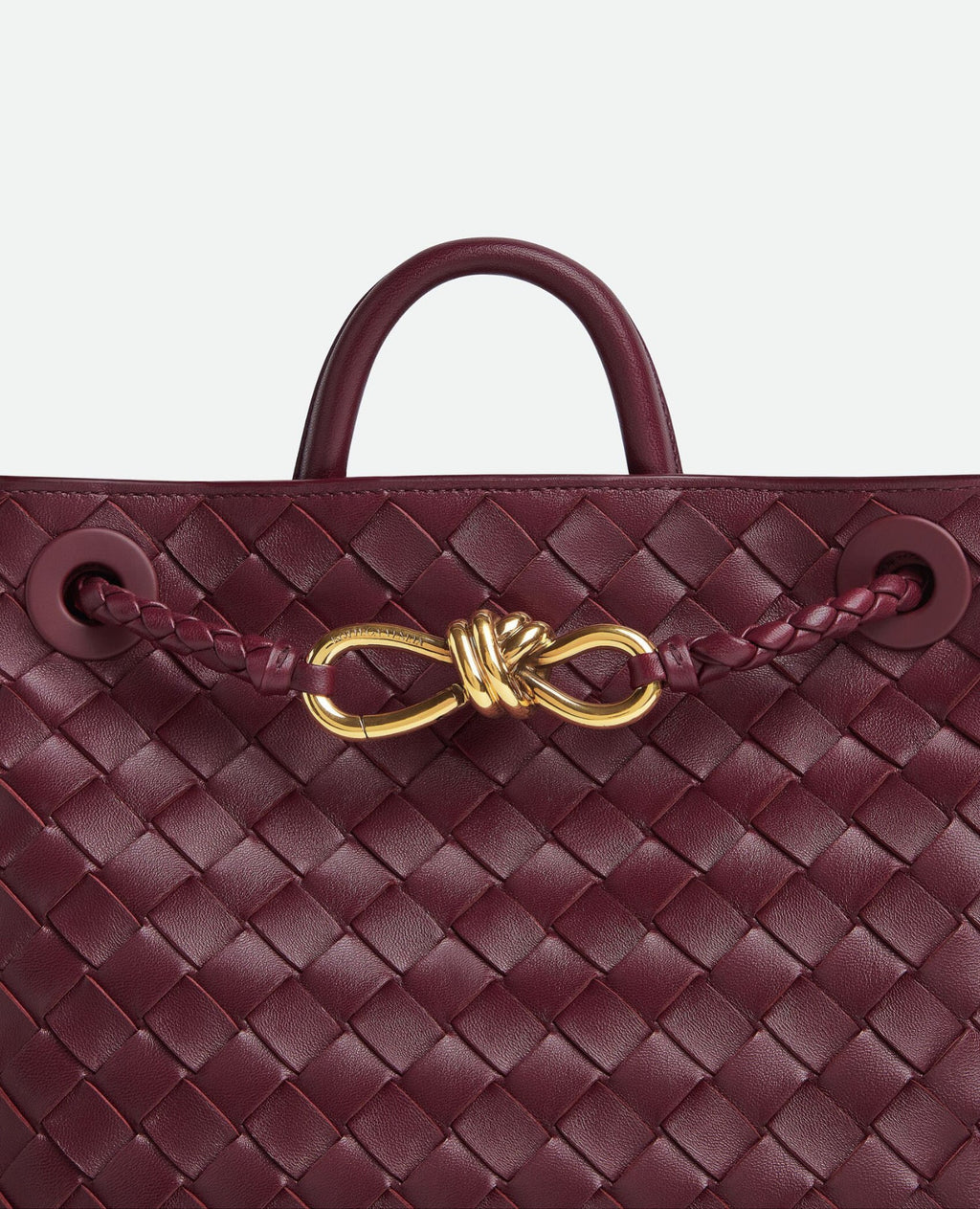Bottega Veneta Small Andiamo Barolo