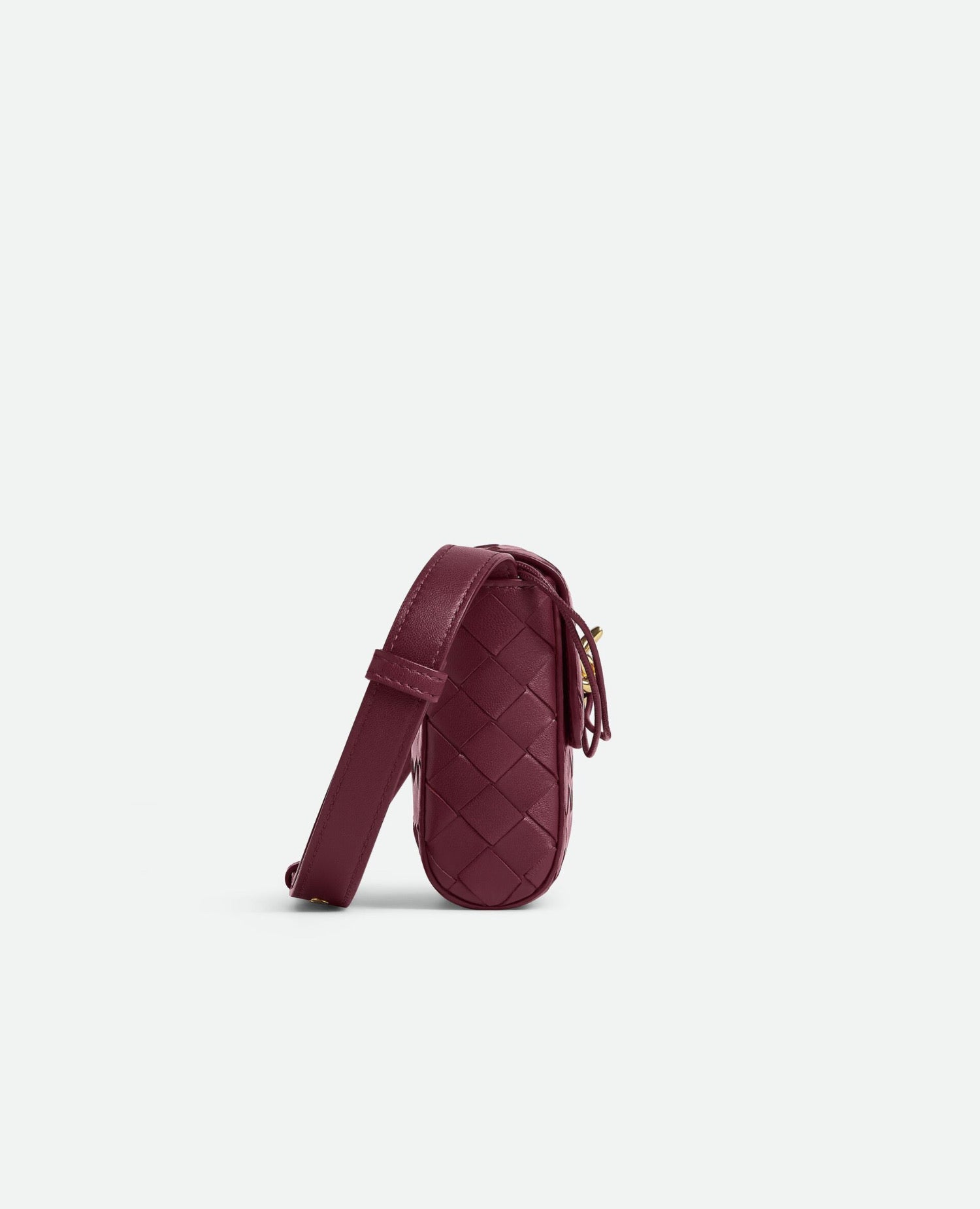 Bottega Veneta Mini Andiamo Cross-Body Barolo