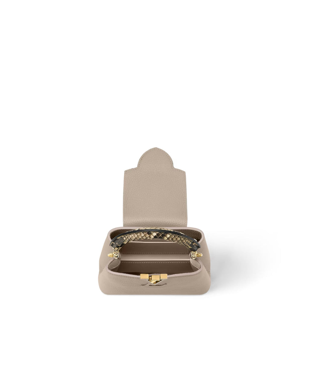 Louis Vuitton Capucines Mini Precious Python leather