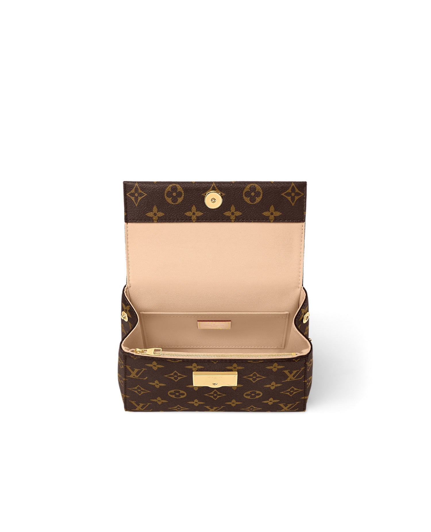 Louis Vuitton Cluny Mini Bag Monogram Coated Canvas