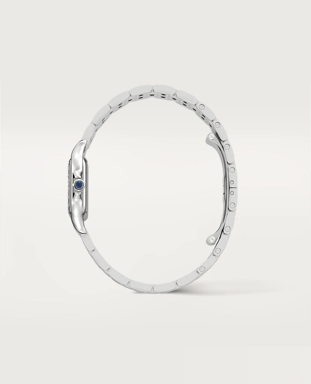 Panthèrs DE Cartier Watch, Small Model, Diamonds, Silver