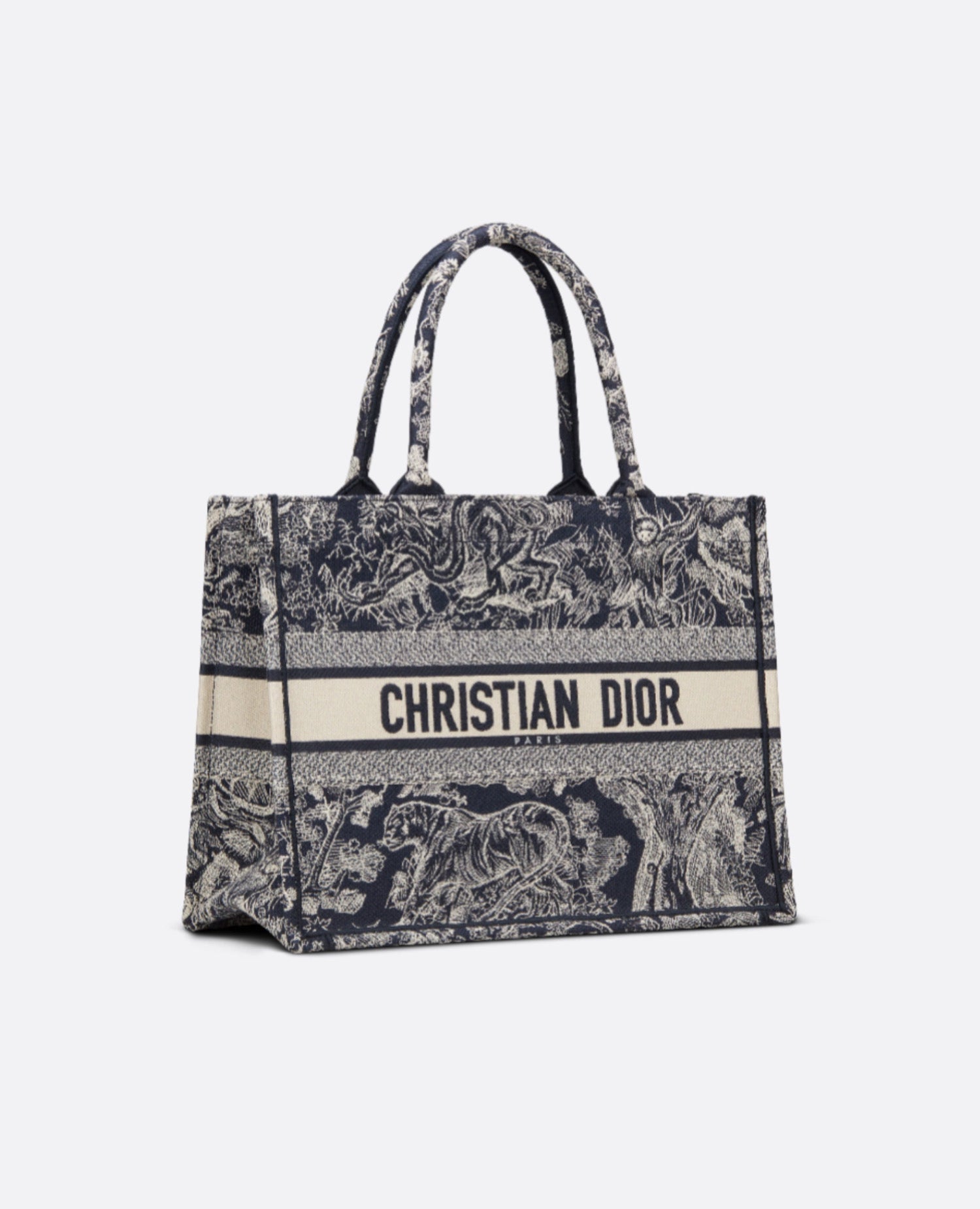 Christian Dior Medium Dior Book Tote Blue & Ecue Toile