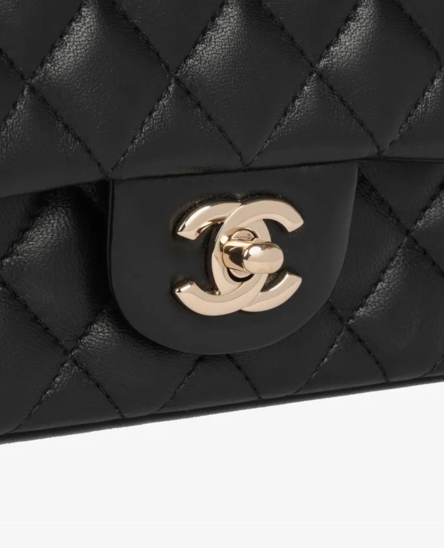 Coco Mini Rectangular LambSkin