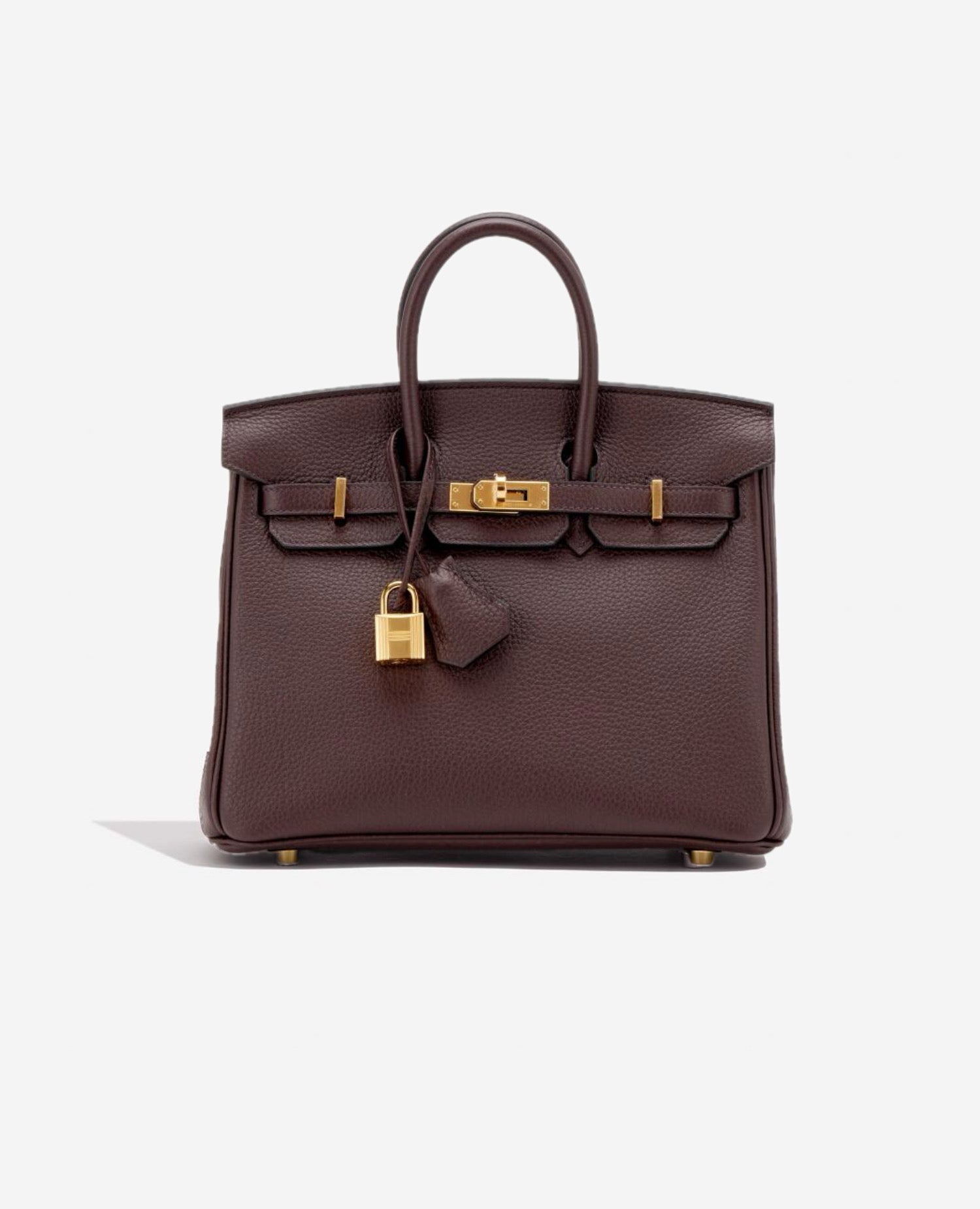 Hermès Birkin 25 Togo Rough Sellier