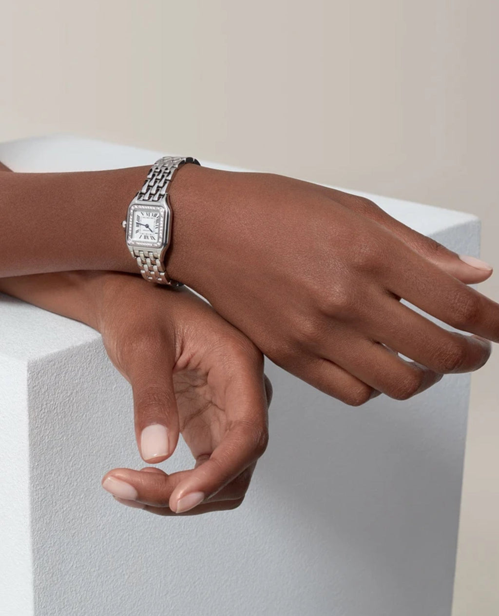 Panthèrs DE Cartier Watch, Small Model, Diamonds, Silver
