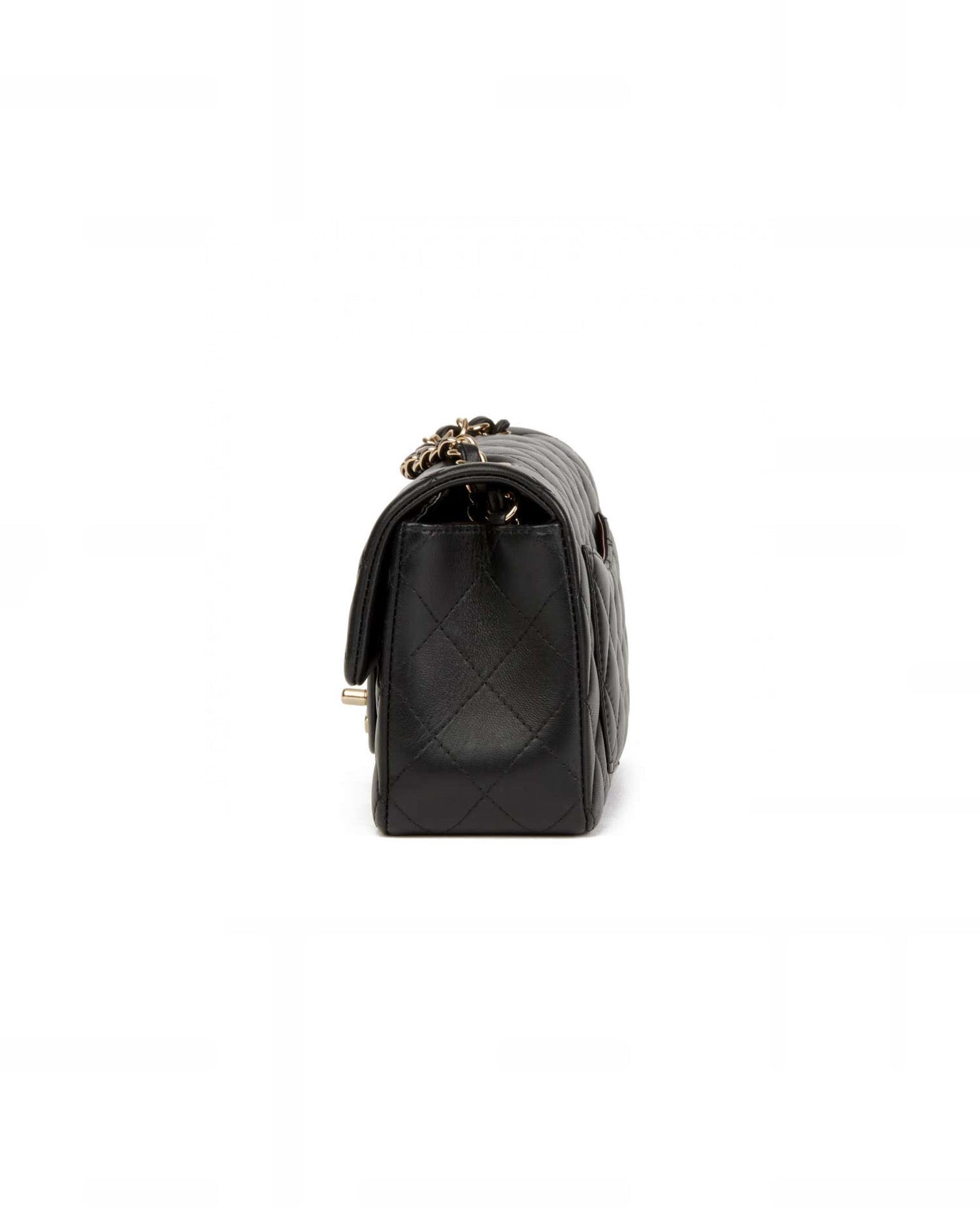 Coco Mini Rectangular LambSkin