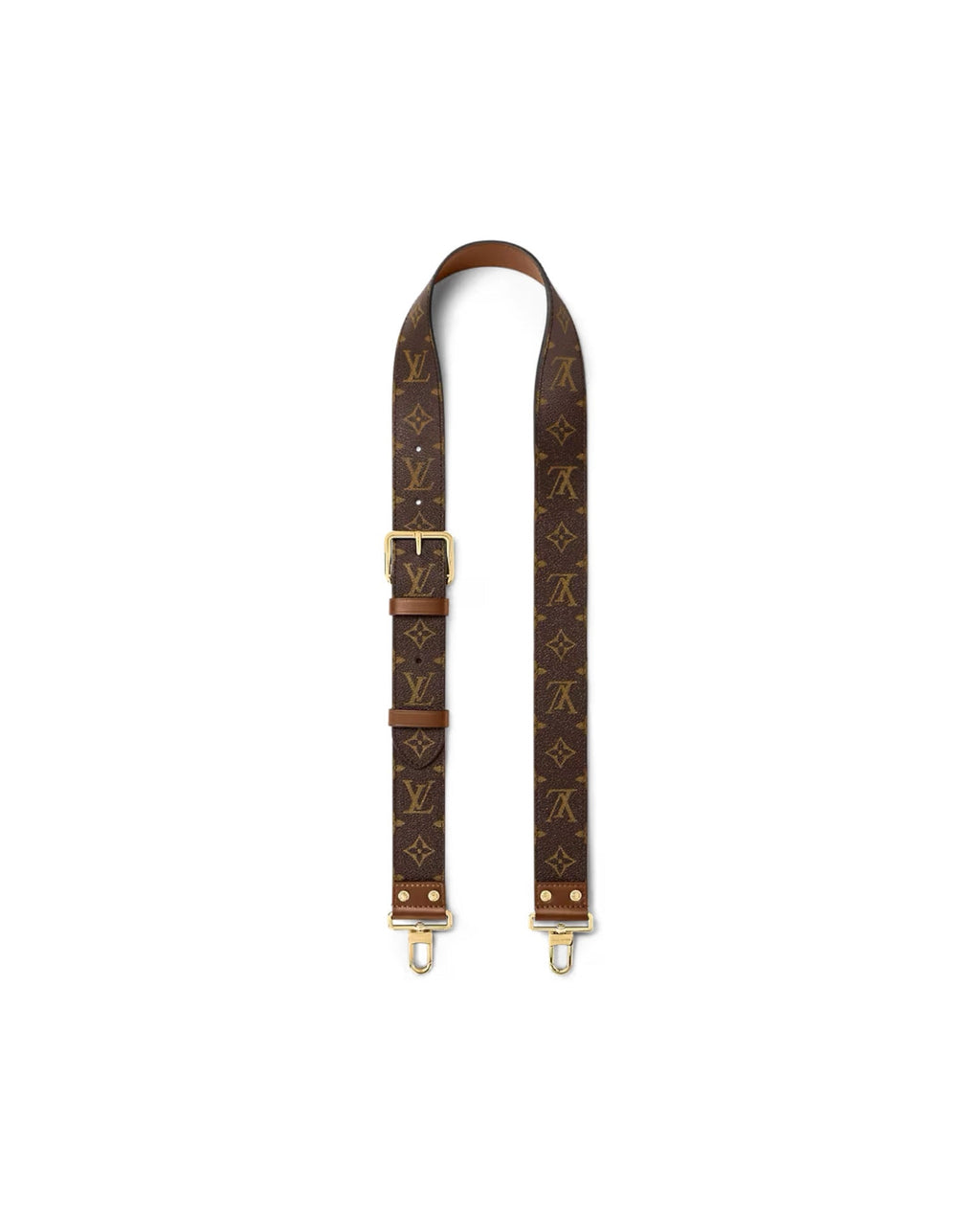 Louis Vuitton Papillon Trunk