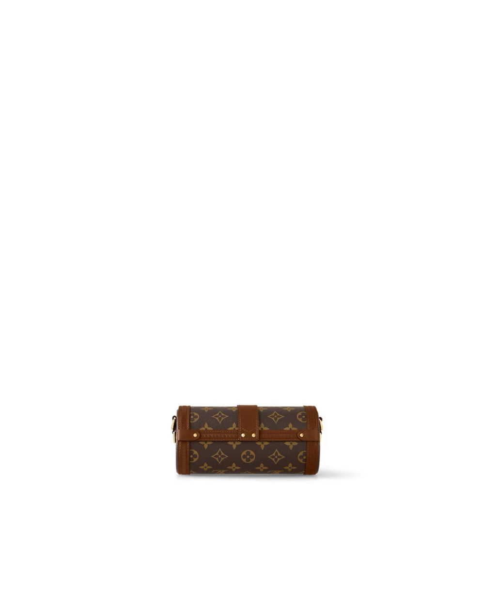Louis Vuitton Papillon Trunk