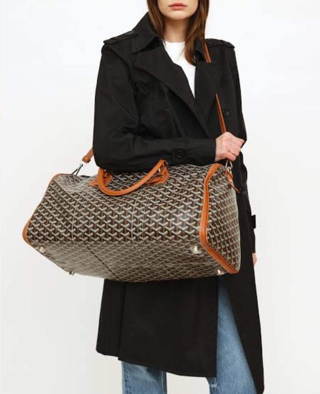 Goyard Croisiere 50 Bag Brown