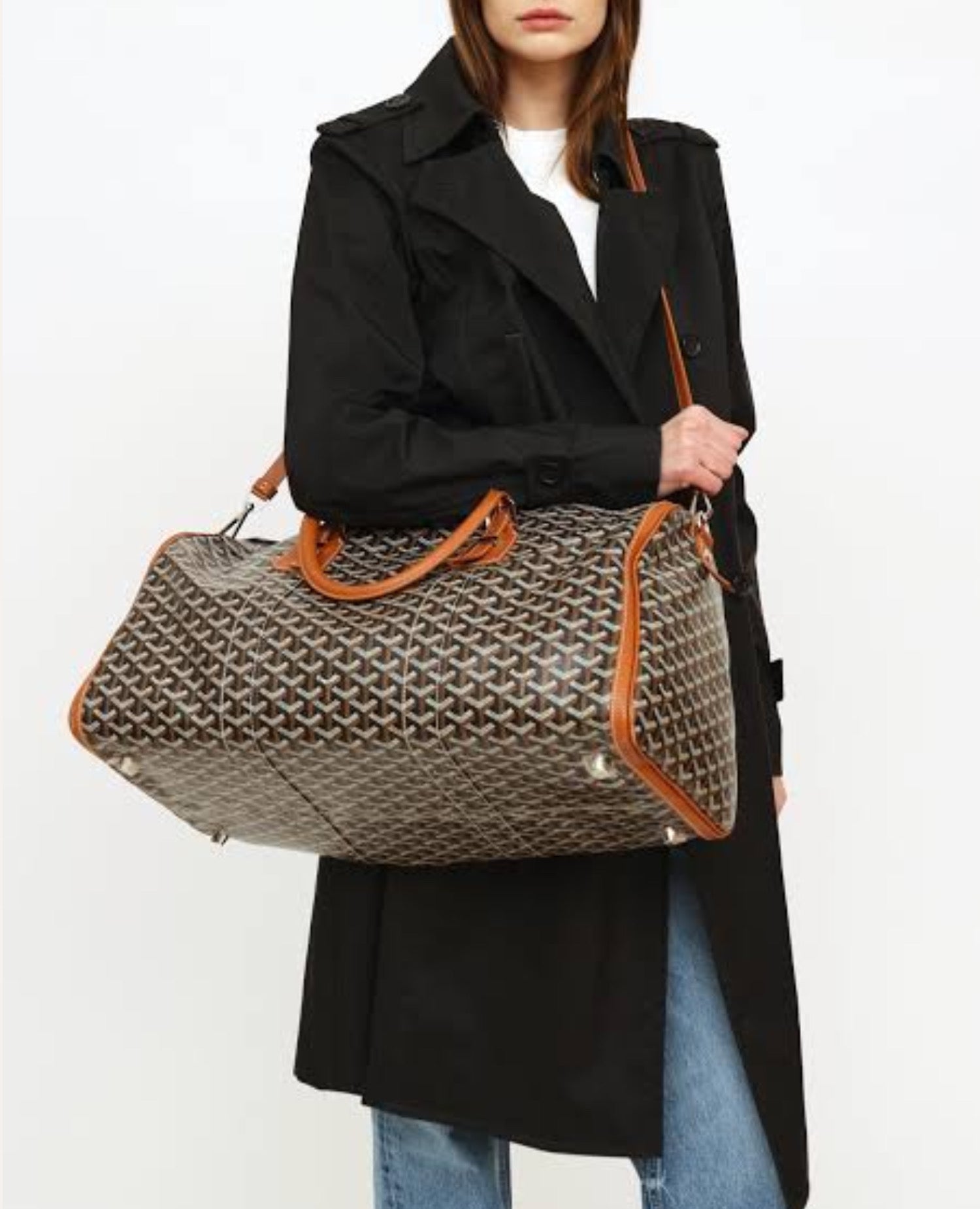 Goyard Croisiere 50 Bag Brown