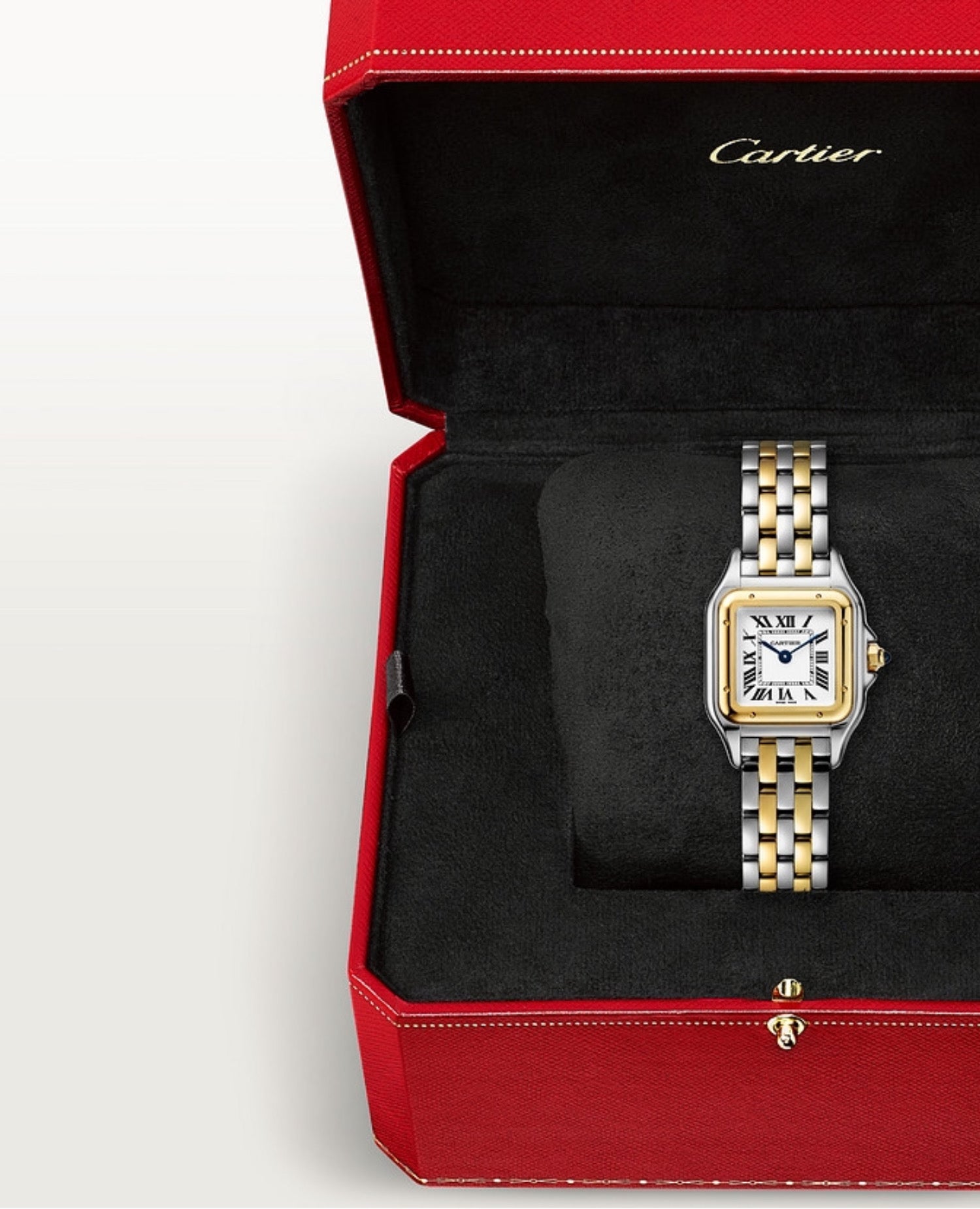 Panthèrs DE Cartier Watch, Small Model, Yellow Gold/Steel