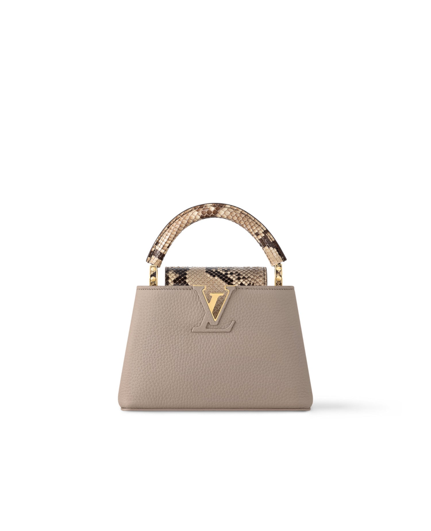 Louis Vuitton Capucines Mini Precious Python leather