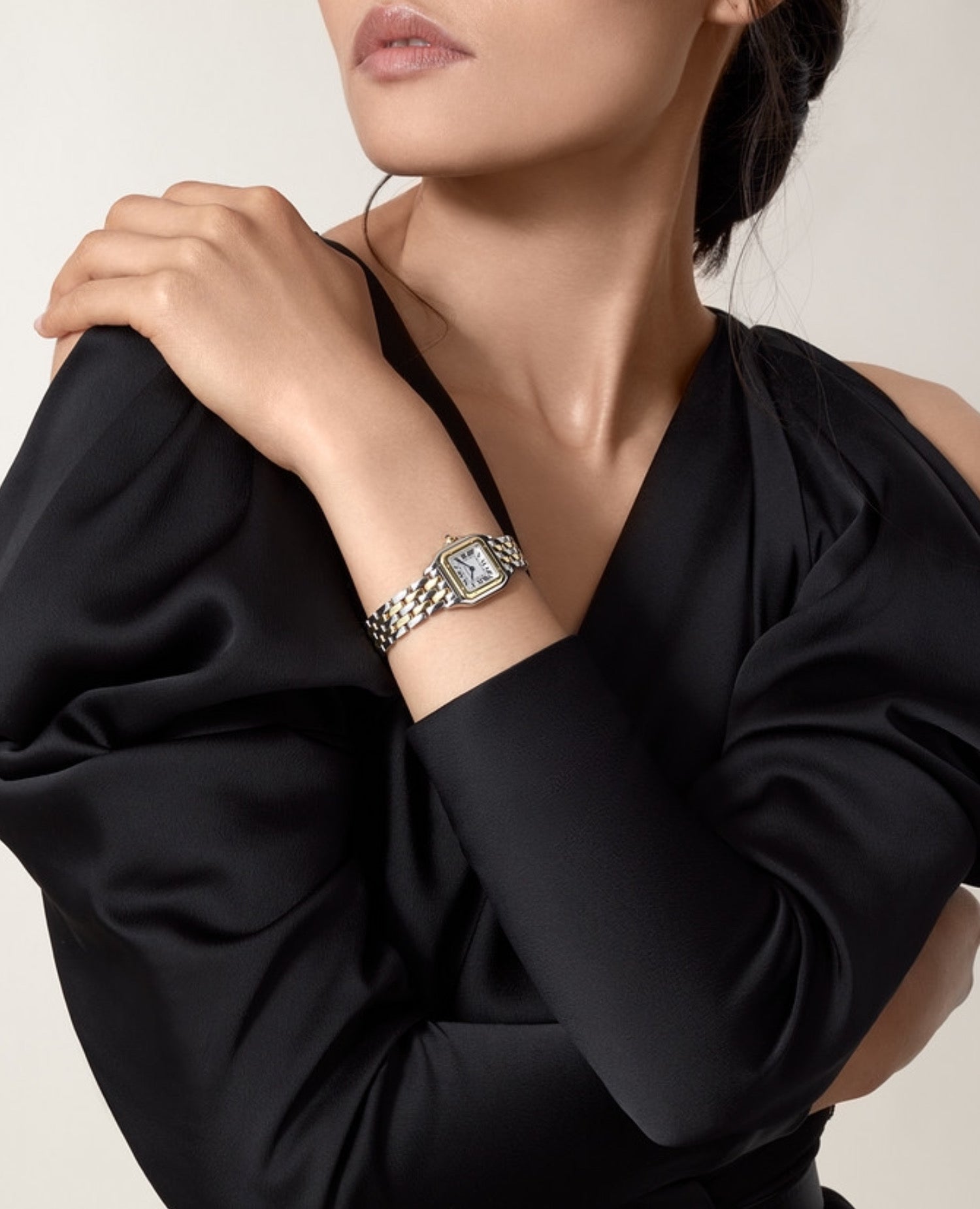 Panthèrs DE Cartier Watch, Small Model, Yellow Gold/Steel