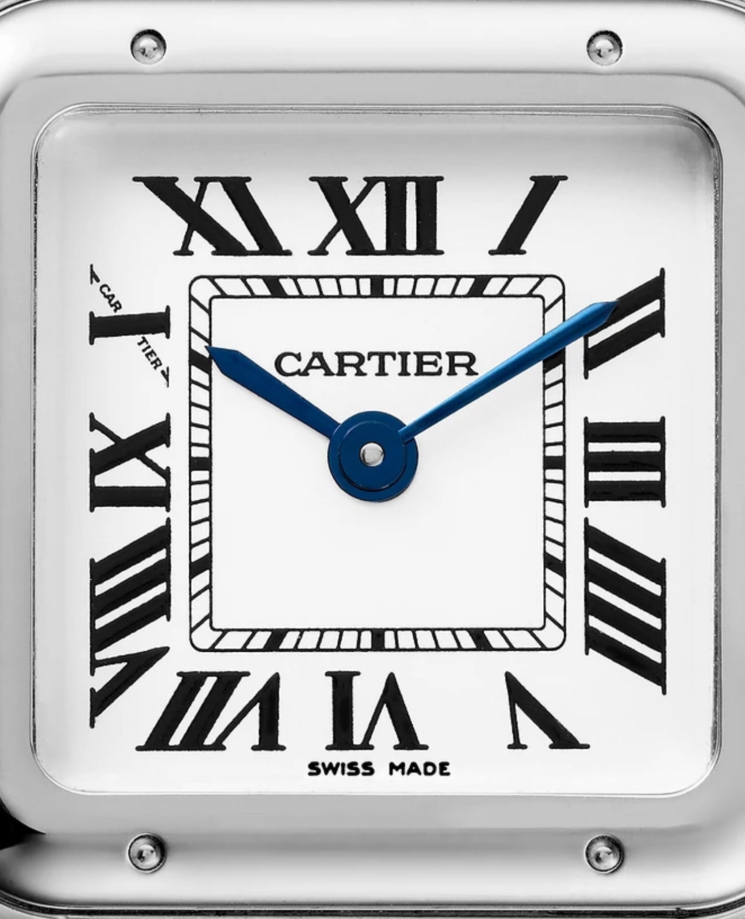 Panthèrs DE Cartier Watch, Small Model, Silver
