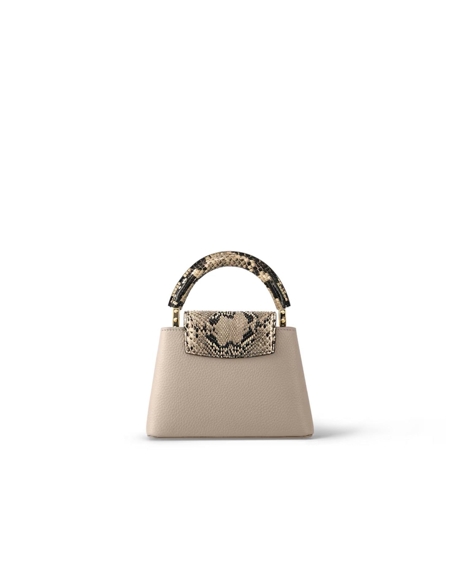 Louis Vuitton Capucines Mini Precious Python leather
