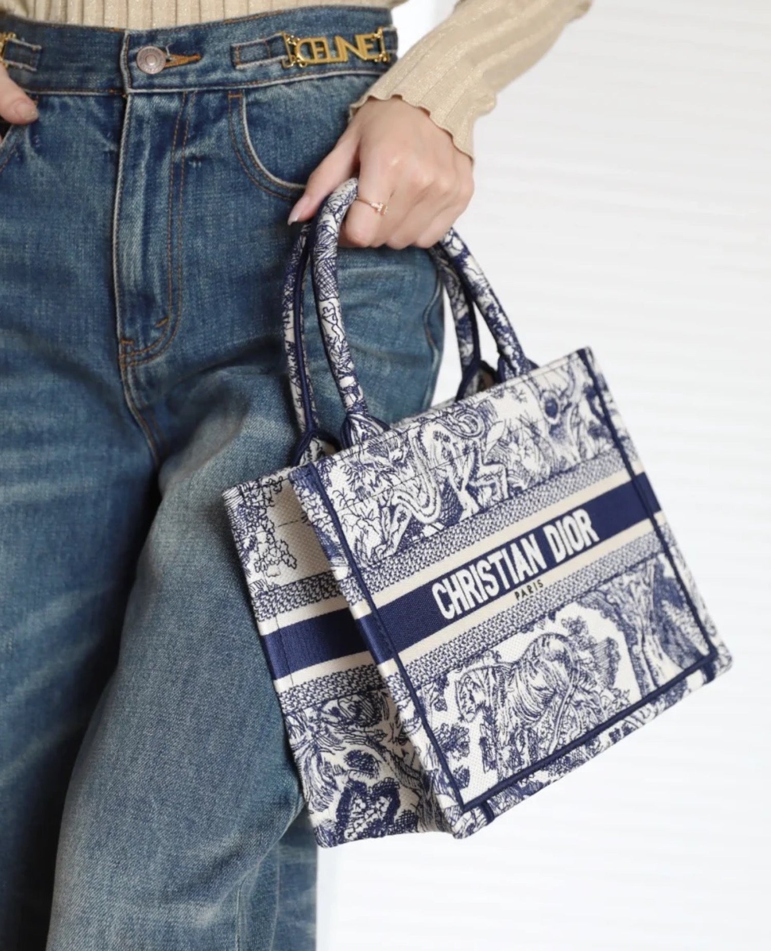 Christian Dior Small Dior Book Tote Blue Toile