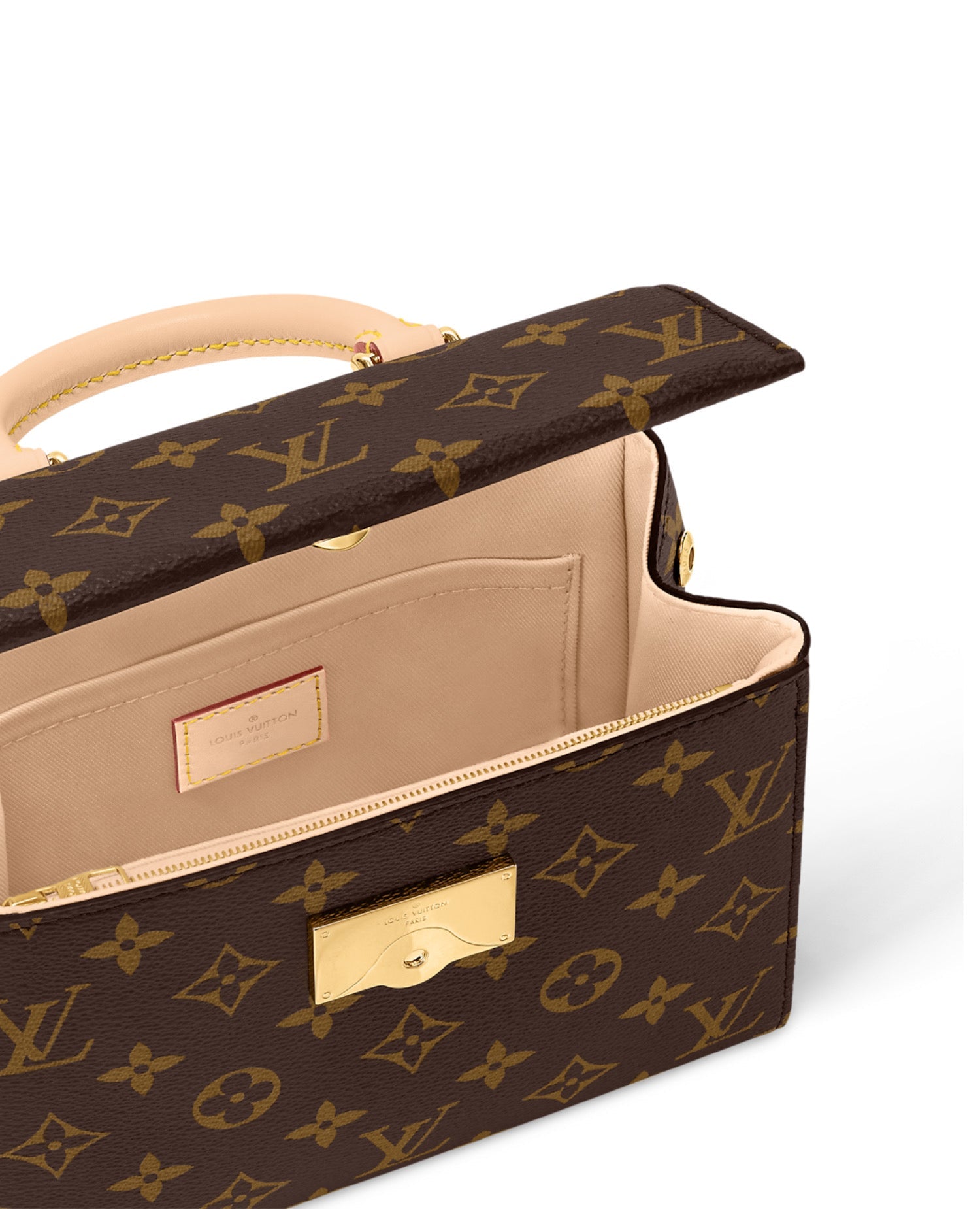 Louis Vuitton Cluny Mini Bag Monogram Coated Canvas