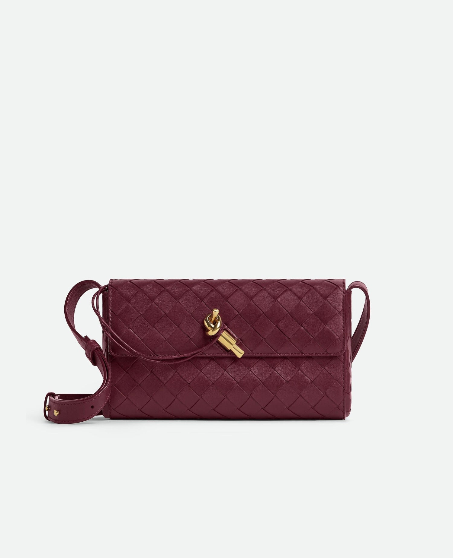 Bottega Veneta Mini Andiamo Cross-Body Barolo