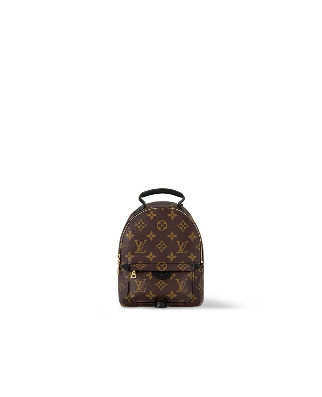Louis Vuitton Palm Springs Mini