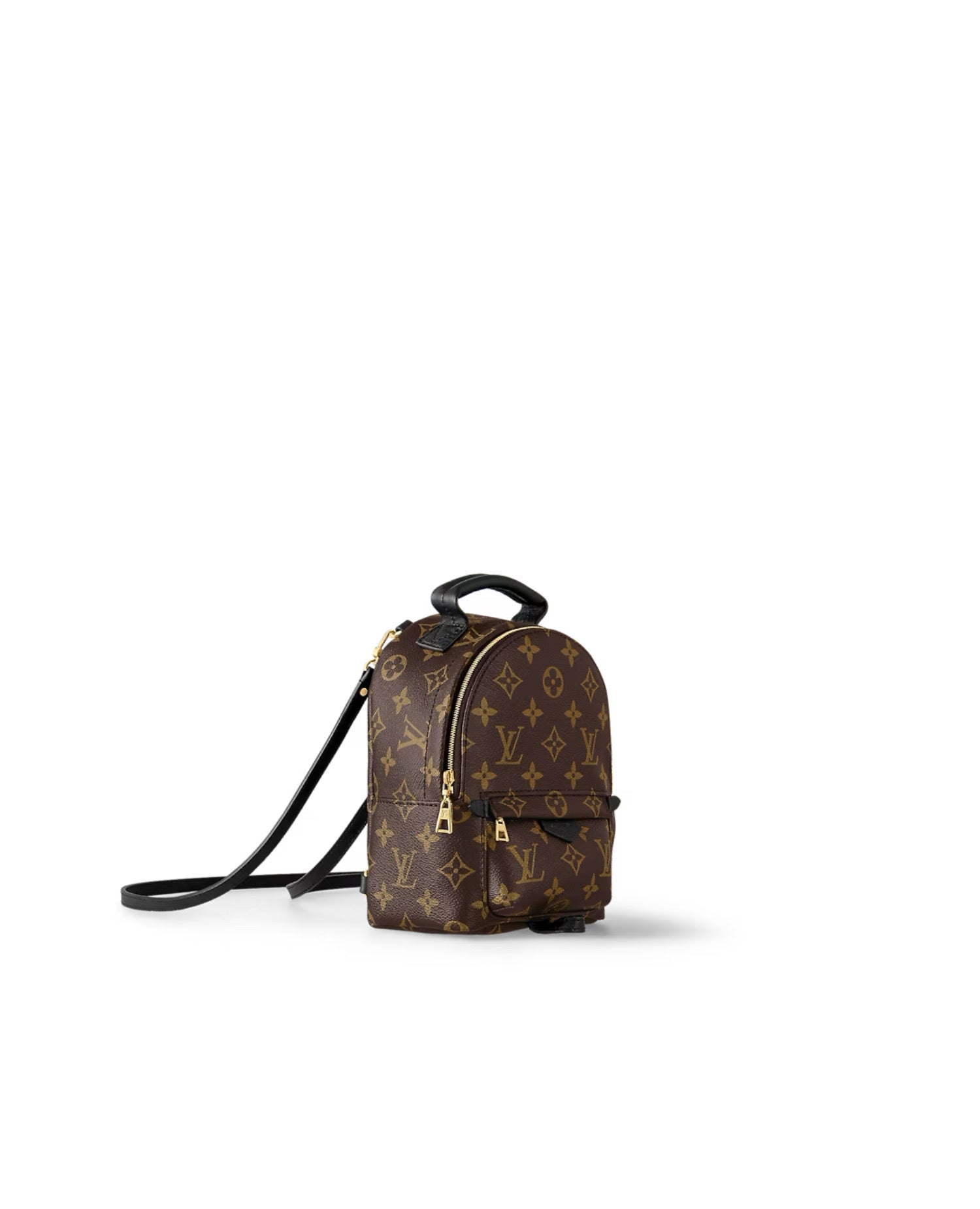 Louis Vuitton Palm Springs Mini