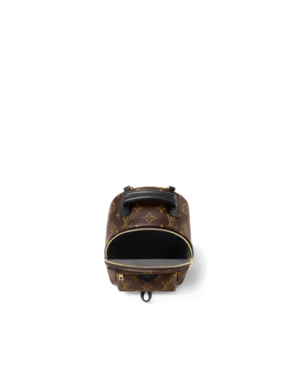 Louis Vuitton Palm Springs Mini