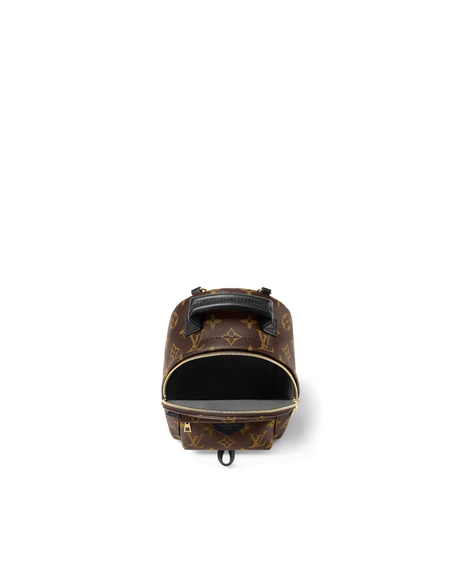 Louis Vuitton Palm Springs Mini