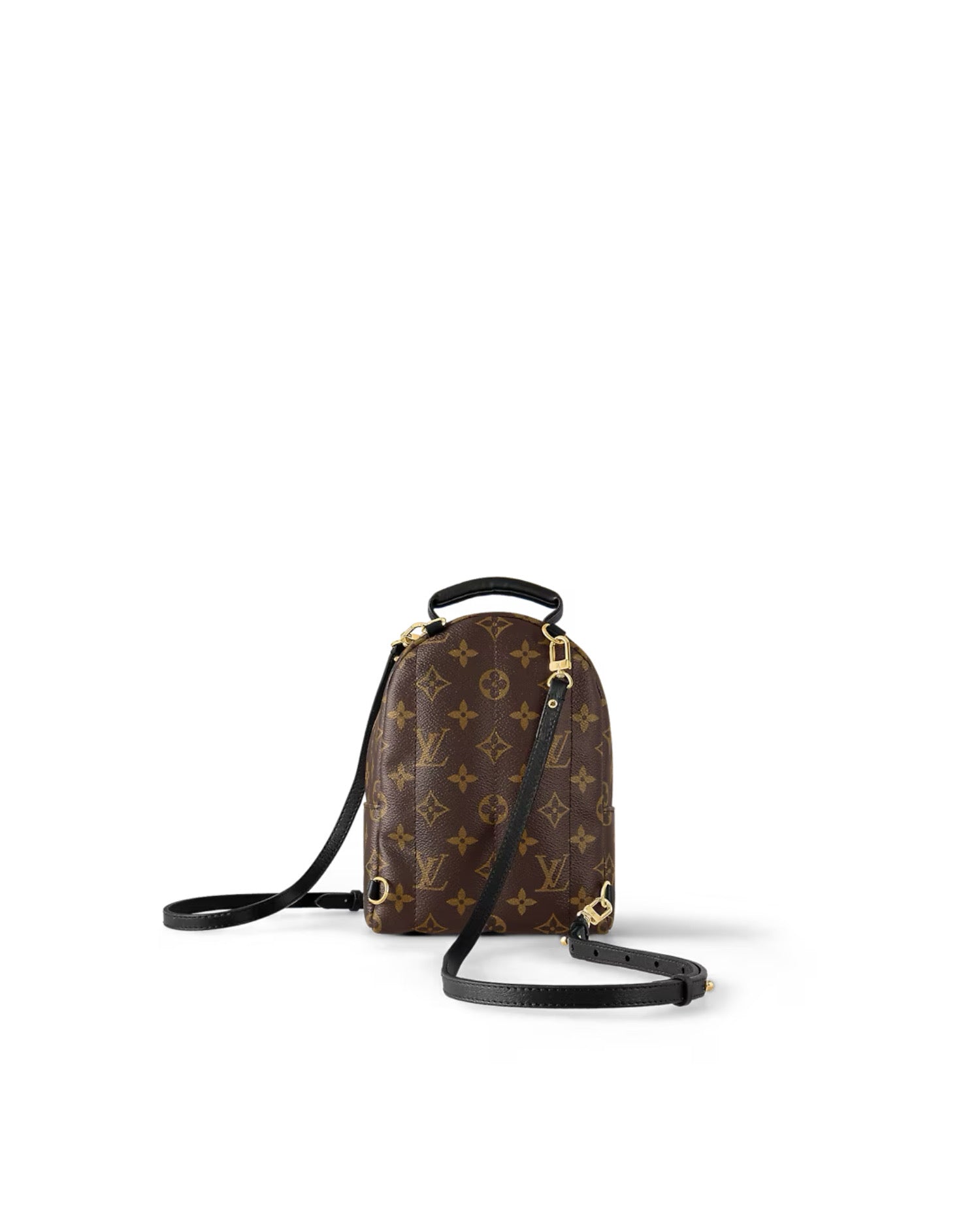 Louis Vuitton Palm Springs Mini