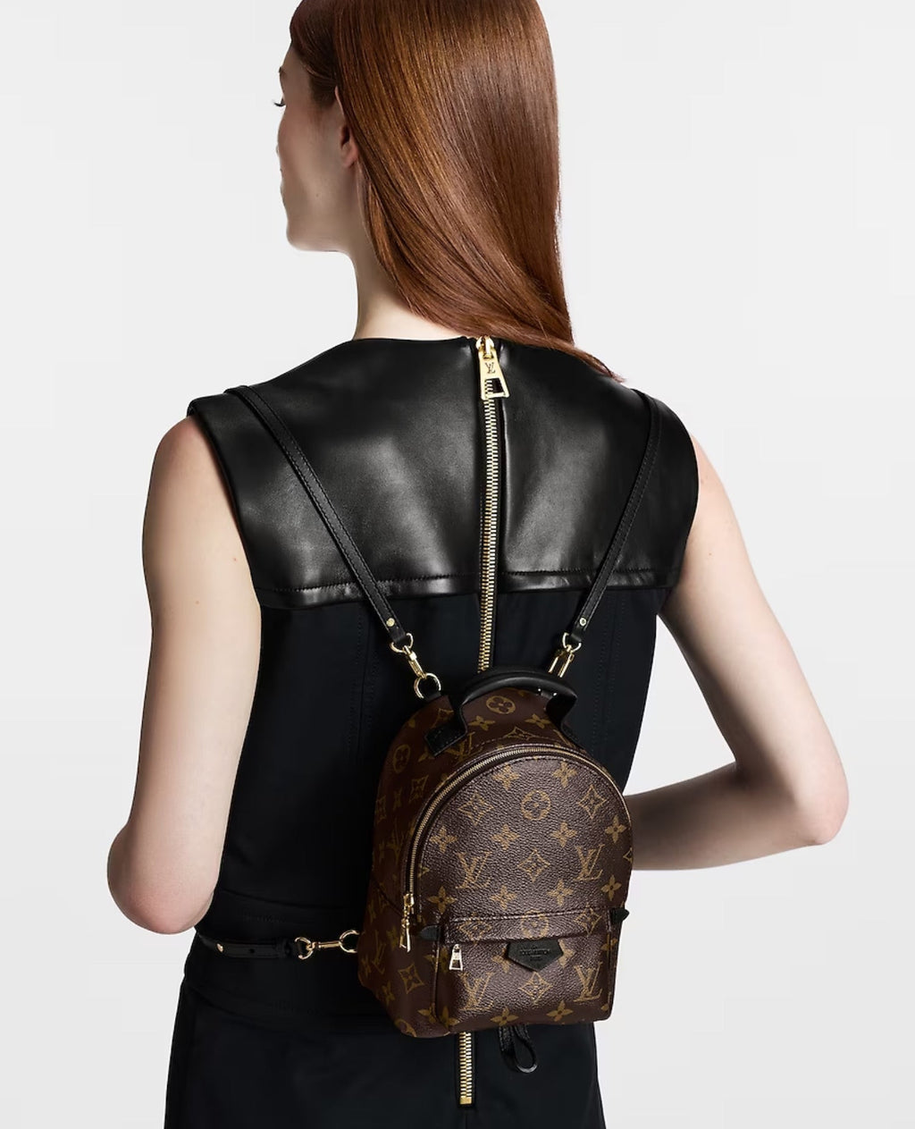 Louis Vuitton Palm Springs Mini